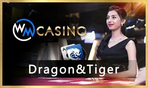 Super Ace Slot Game on WinWin App